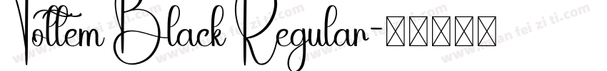 Tottem Black Regular字体转换